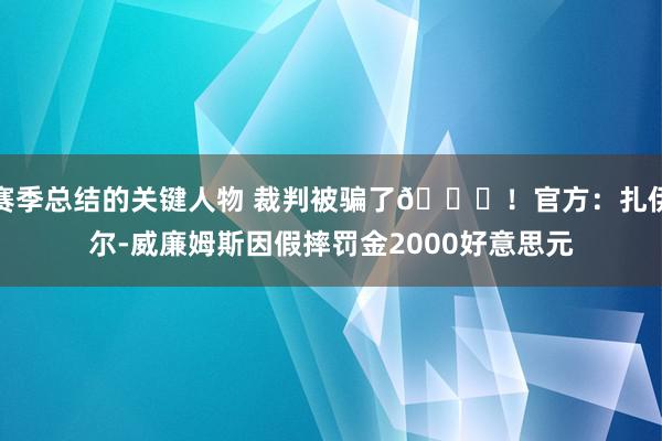 赛季总结的关键人物 裁判被骗了😅！官方：扎伊尔-威廉姆斯因假摔罚金2000好意思元